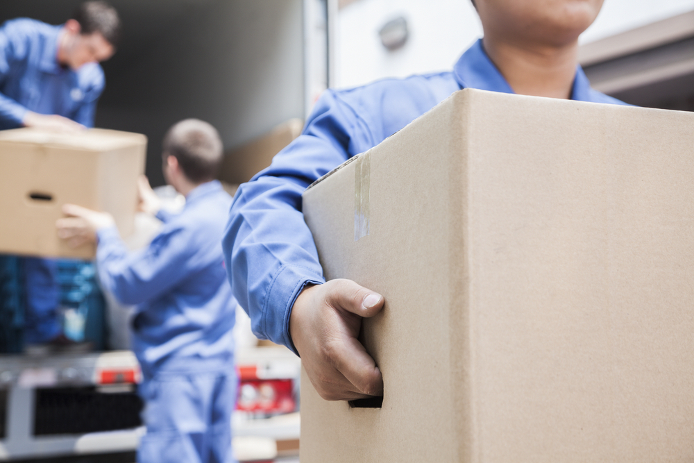 moving companies in alberton